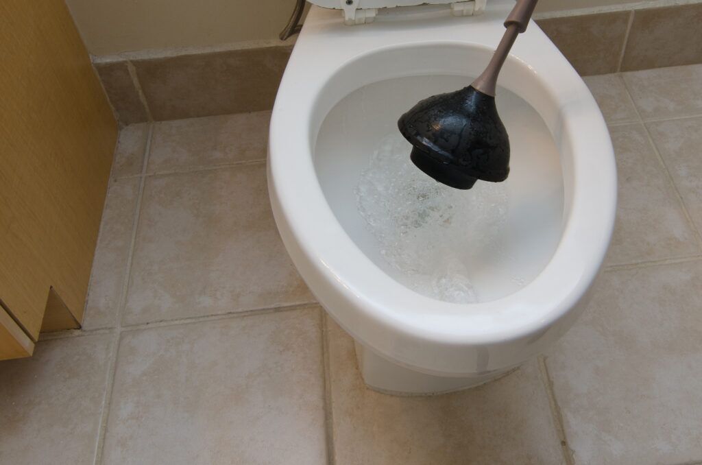 Why Summer Hosting Puts Your Toilet at Risk and What to Check Before Guests Arrive